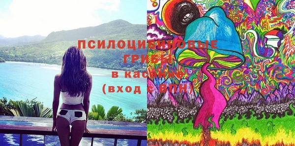 ГАЛЛЮЦИНОГЕННЫЕ ГРИБЫ Майский