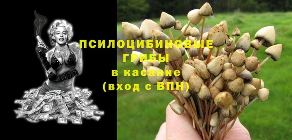 дживик Куйбышев