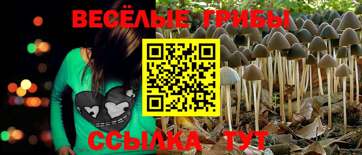 Галлюциногенные грибы GOLDEN TEACHER  купить наркотики цена  Тюмень  Вход с VPN 