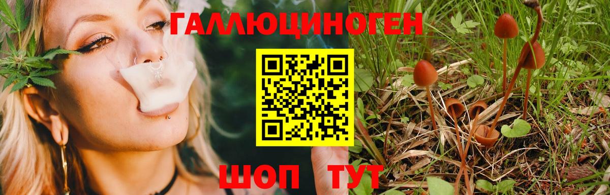 Псилоцибиновые грибы мицелий Тюмень